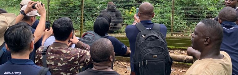 CTOC Particpants visit the Primate Rescue Centre in Mefou National Park. Photo: Sal Amato/USAID Wildlife Asia.