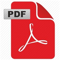 Large PDF Icon