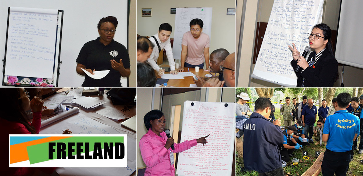 CTOC Training Banner Image