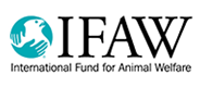 IFAW