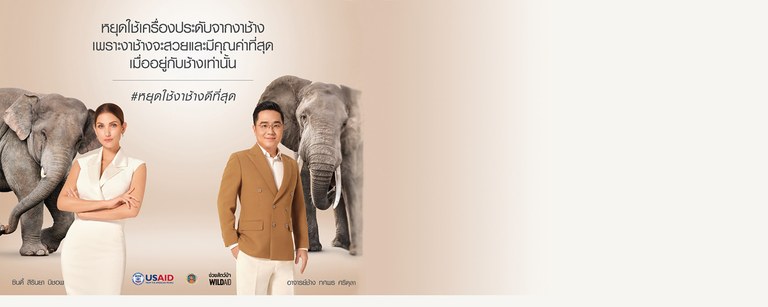 BWI_Only-Elephants.jpg